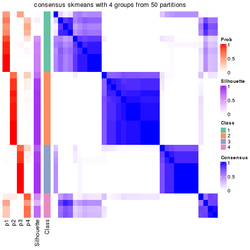 plot of chunk tab-node-031-consensus-heatmap-3