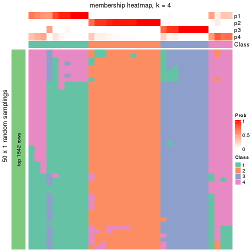 plot of chunk tab-node-031-membership-heatmap-3