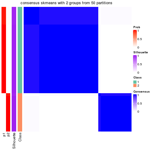 plot of chunk tab-node-032-consensus-heatmap-1