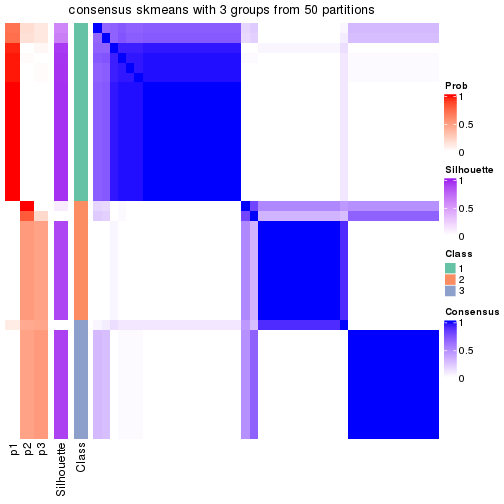 plot of chunk tab-node-032-consensus-heatmap-2