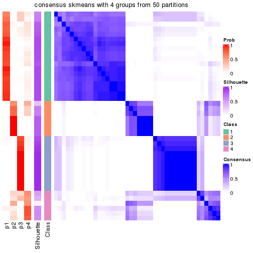 plot of chunk tab-node-032-consensus-heatmap-3