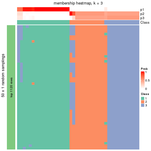 plot of chunk tab-node-032-membership-heatmap-2