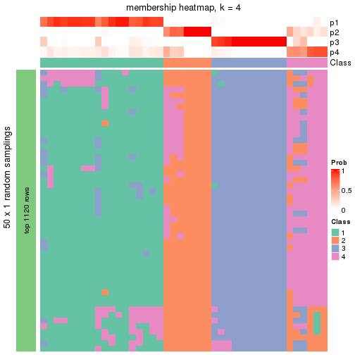 plot of chunk tab-node-032-membership-heatmap-3