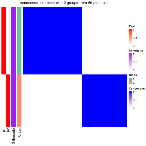 plot of chunk tab-node-033-consensus-heatmap-1