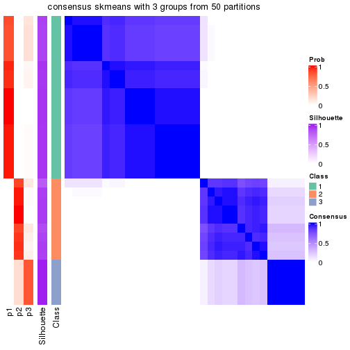 plot of chunk tab-node-033-consensus-heatmap-2