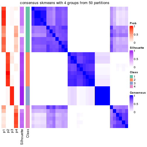 plot of chunk tab-node-033-consensus-heatmap-3