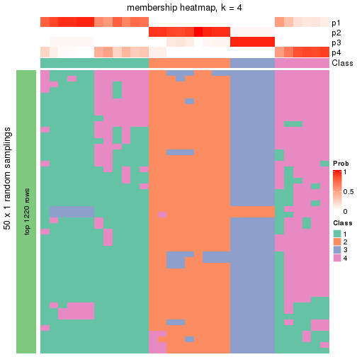 plot of chunk tab-node-033-membership-heatmap-3