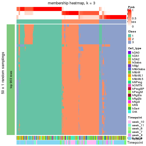 plot of chunk tab-node-012-membership-heatmap-2