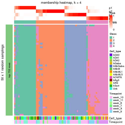 plot of chunk tab-node-0223-membership-heatmap-3