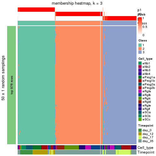 plot of chunk tab-node-013-membership-heatmap-2