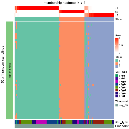 plot of chunk tab-node-0132-membership-heatmap-2