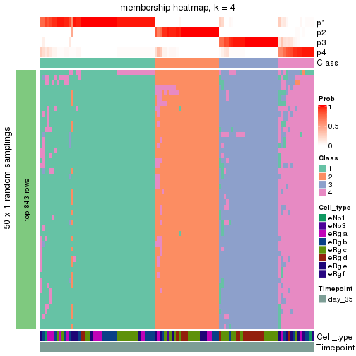 plot of chunk tab-node-0132-membership-heatmap-3