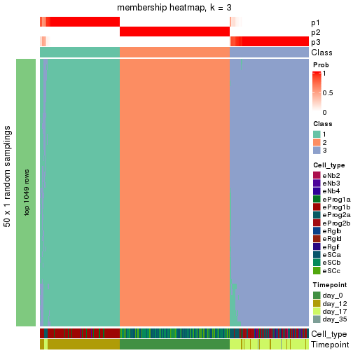 plot of chunk tab-node-02-membership-heatmap-2