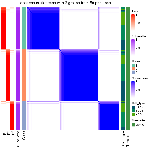 plot of chunk tab-node-022-consensus-heatmap-2