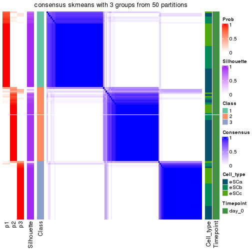 plot of chunk tab-node-024-consensus-heatmap-2