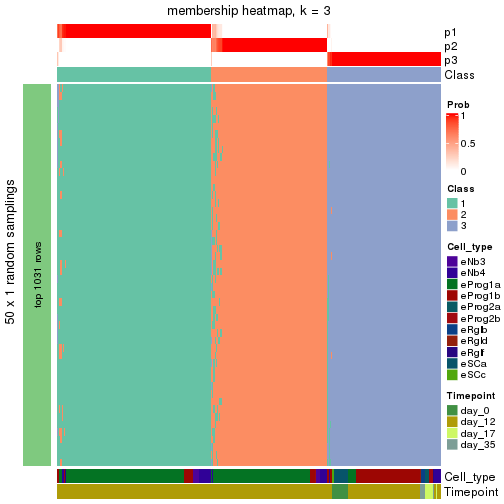 plot of chunk tab-node-03-membership-heatmap-2