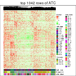 plot of chunk top-rows-heatmap