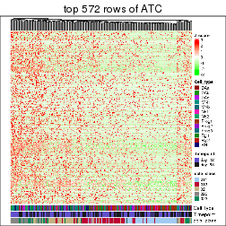 plot of chunk top-rows-heatmap