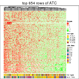 plot of chunk top-rows-heatmap