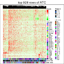 plot of chunk top-rows-heatmap