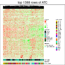 plot of chunk top-rows-heatmap