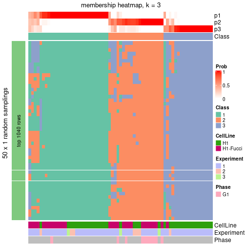 plot of chunk tab-node-0112-membership-heatmap-2