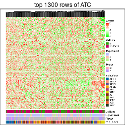 plot of chunk top-rows-heatmap