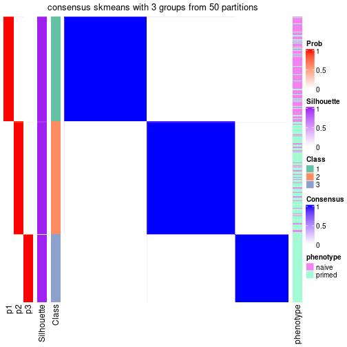 plot of chunk tab-node-0-consensus-heatmap-2