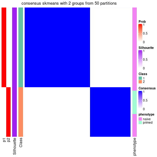 plot of chunk tab-node-01-consensus-heatmap-1