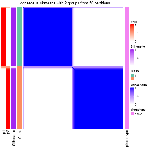 plot of chunk tab-node-011-consensus-heatmap-1