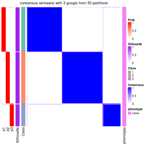 plot of chunk tab-node-011-consensus-heatmap-2