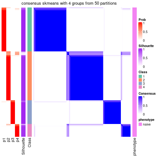 plot of chunk tab-node-011-consensus-heatmap-3