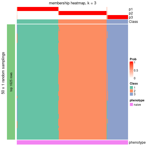 plot of chunk tab-node-011-membership-heatmap-2