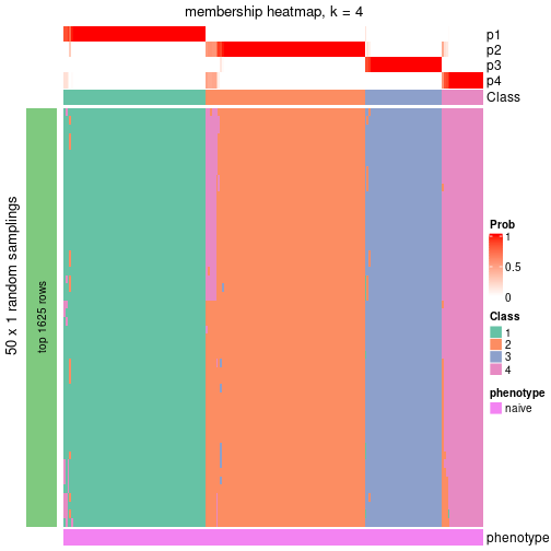 plot of chunk tab-node-011-membership-heatmap-3