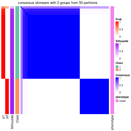 plot of chunk tab-node-0121-consensus-heatmap-1