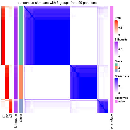 plot of chunk tab-node-0121-consensus-heatmap-2