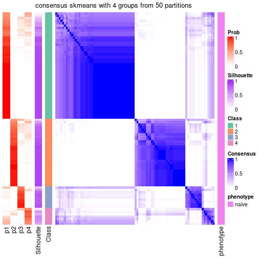 plot of chunk tab-node-0121-consensus-heatmap-3