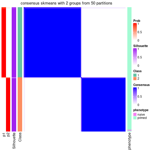 plot of chunk tab-node-023-consensus-heatmap-1