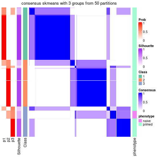 plot of chunk tab-node-03-consensus-heatmap-2