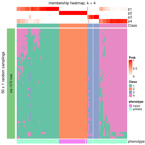 plot of chunk tab-node-034-membership-heatmap-3