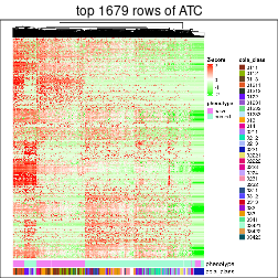 plot of chunk top-rows-heatmap