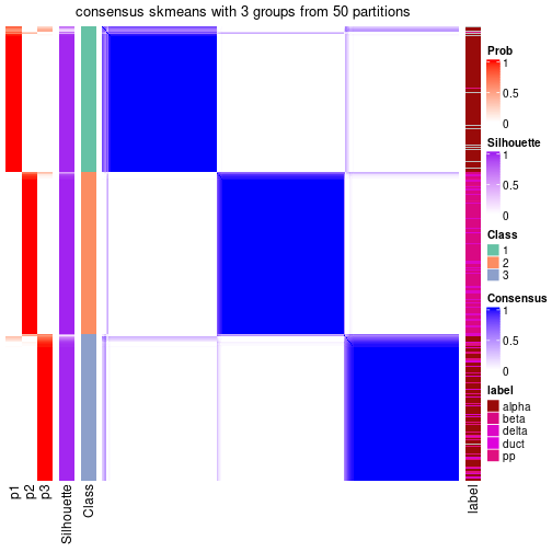 plot of chunk tab-node-021-consensus-heatmap-2