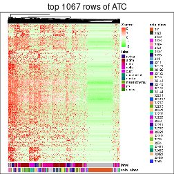 plot of chunk top-rows-heatmap