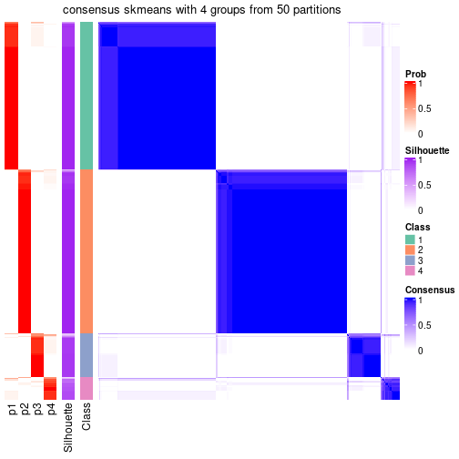 plot of chunk tab-node-0-consensus-heatmap-3