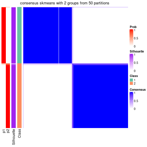 plot of chunk tab-node-01-consensus-heatmap-1