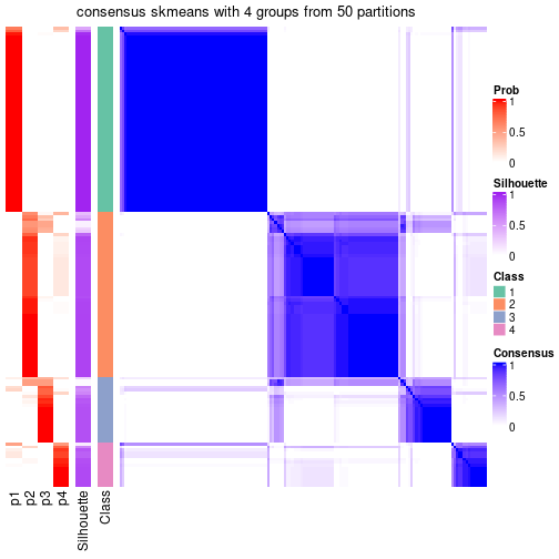 plot of chunk tab-node-011-consensus-heatmap-3