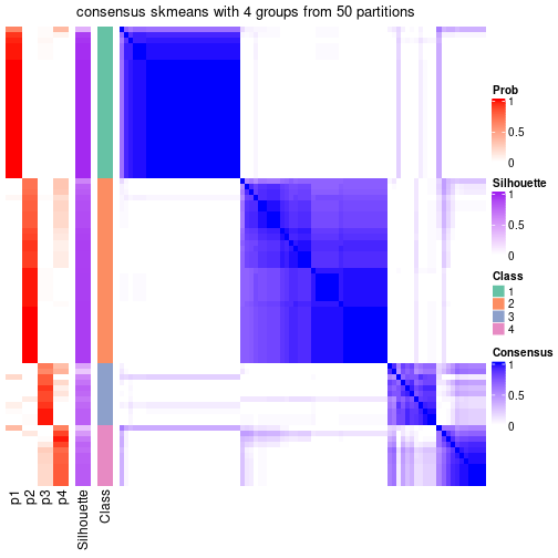 plot of chunk tab-node-0111-consensus-heatmap-3