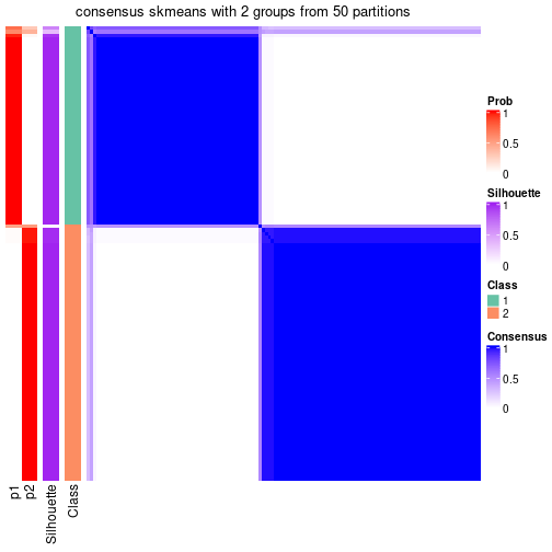 plot of chunk tab-node-0121-consensus-heatmap-1