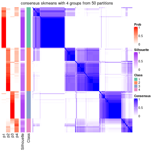 plot of chunk tab-node-0121-consensus-heatmap-3