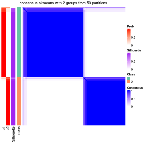 plot of chunk tab-node-013-consensus-heatmap-1